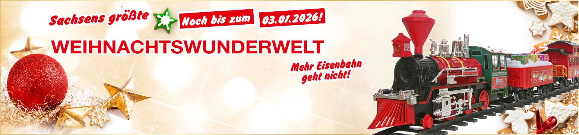 Collage: 5. sächsische Kindermesse für jung und alt. Am 08. und 09. November 2025, Erlebnissmesse. Impressionen Kinder beim Laternebasteln zum Thema Basteln, Kinder mit Seifenblasen zum Thema Spaß, Kinder beim Fahrradfahren zum Thema Freizeit und ein Kind mit Lupe zum Thema Entdecken.